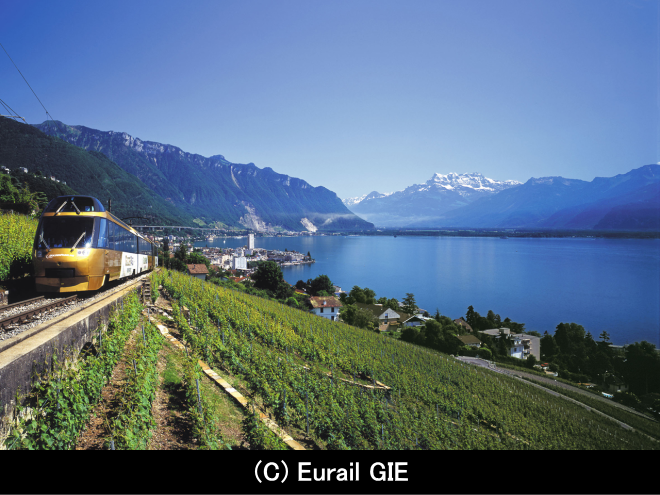 パノラミック編成