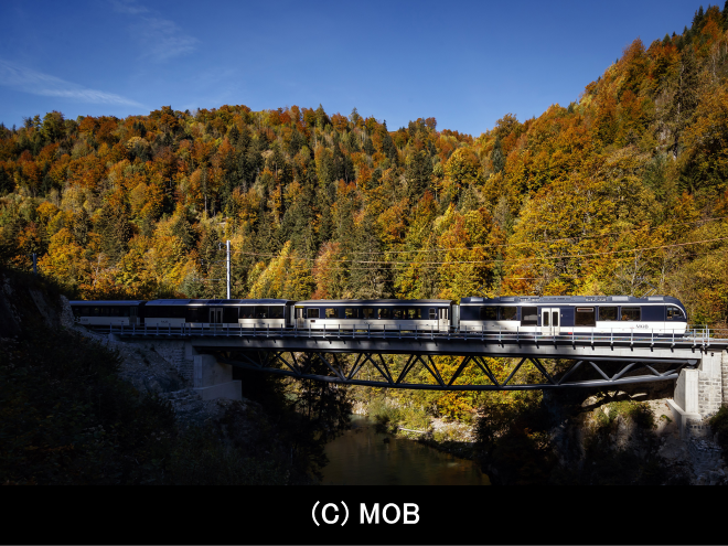 パノラミック編成