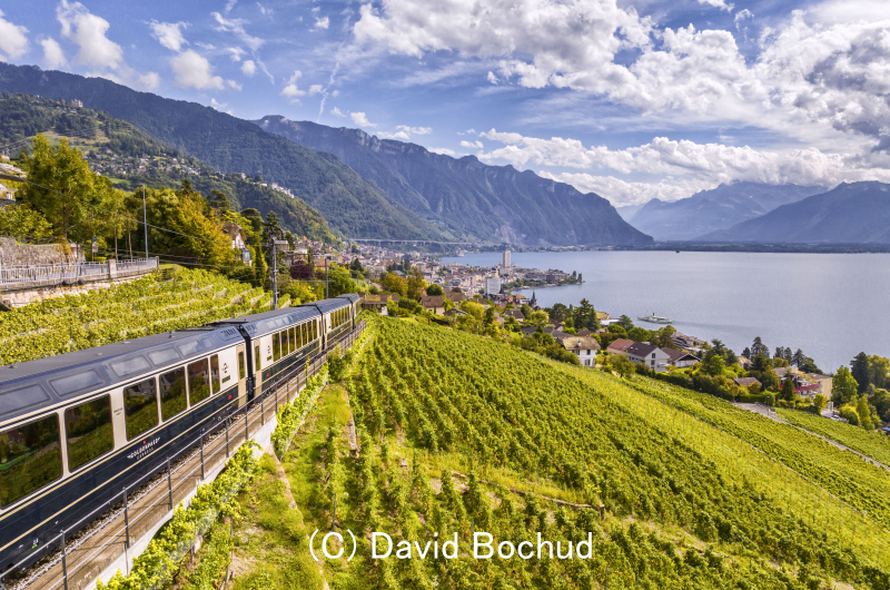 エクスプレス編成